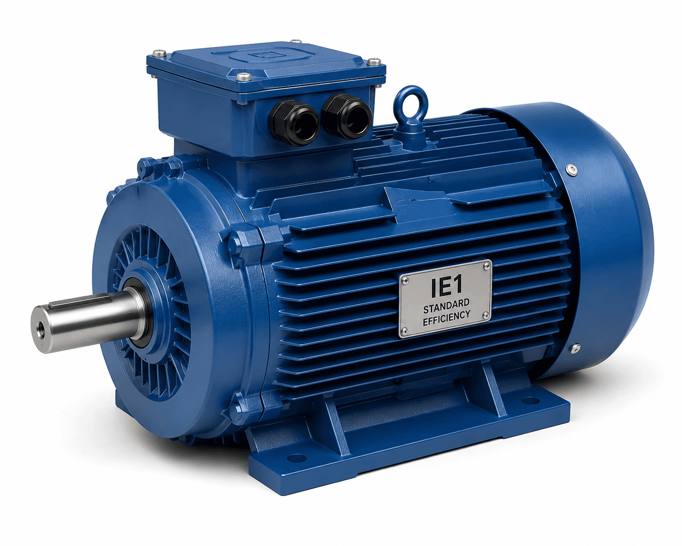 IE1 Standard Efficiency Three Phase Induction Motor